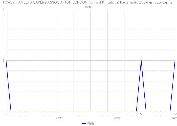 TOWER HAMLETS CARERS ASSOCIATION LONDON (United Kingdom) Page visits 2024 