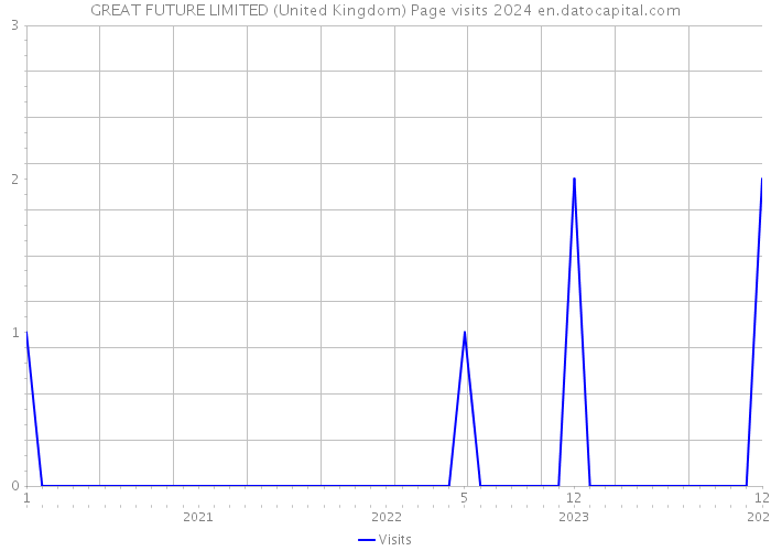 GREAT FUTURE LIMITED (United Kingdom) Page visits 2024 