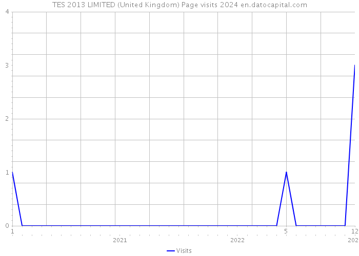 TES 2013 LIMITED (United Kingdom) Page visits 2024 