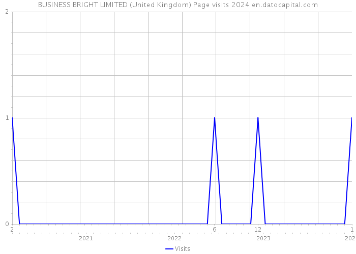 BUSINESS BRIGHT LIMITED (United Kingdom) Page visits 2024 