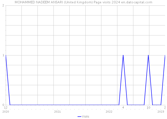 MOHAMMED NADEEM ANSARI (United Kingdom) Page visits 2024 