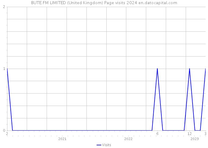 BUTE FM LIMITED (United Kingdom) Page visits 2024 