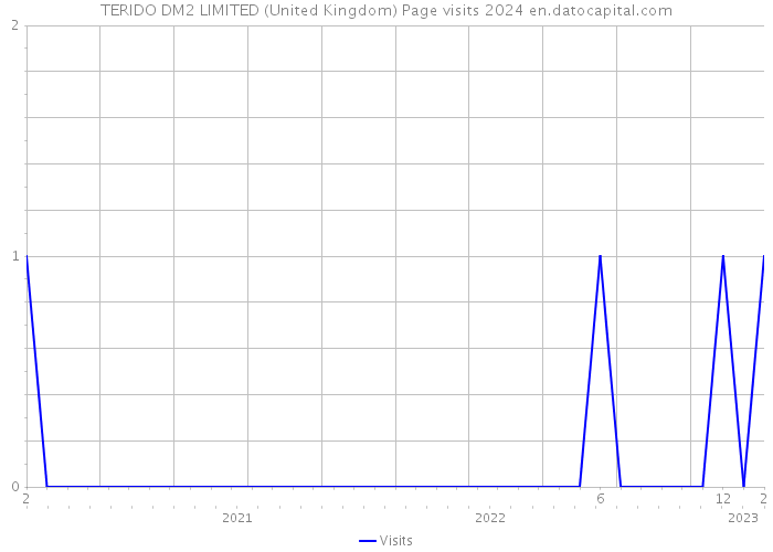 TERIDO DM2 LIMITED (United Kingdom) Page visits 2024 