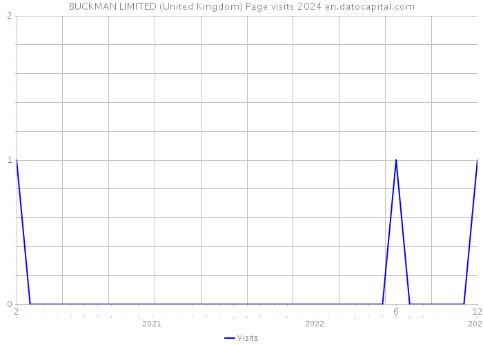 BUCKMAN LIMITED (United Kingdom) Page visits 2024 