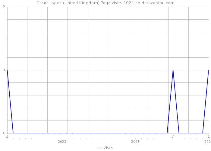 Cesar Lopez (United Kingdom) Page visits 2024 