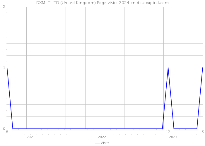 DXM IT LTD (United Kingdom) Page visits 2024 