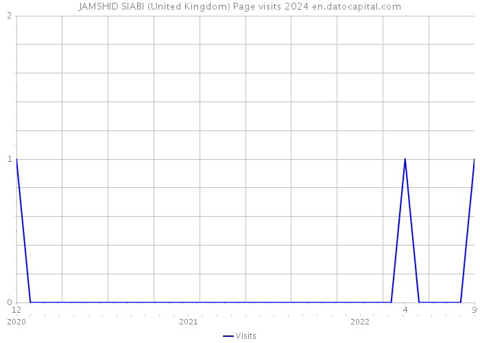 JAMSHID SIABI (United Kingdom) Page visits 2024 