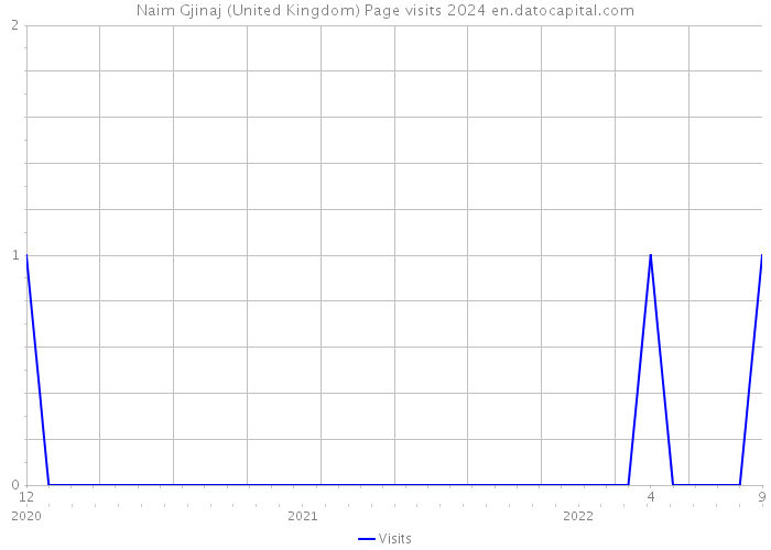 Naim Gjinaj (United Kingdom) Page visits 2024 