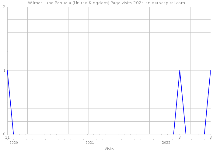Wilmer Luna Penuela (United Kingdom) Page visits 2024 