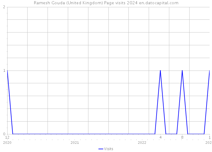 Ramesh Gouda (United Kingdom) Page visits 2024 