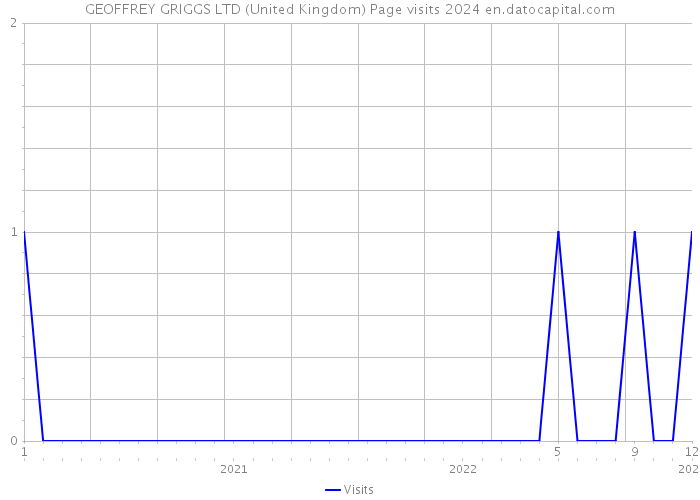 GEOFFREY GRIGGS LTD (United Kingdom) Page visits 2024 