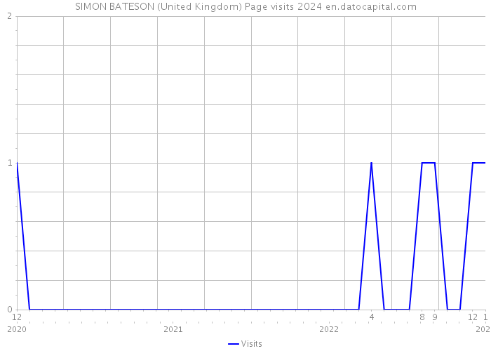 SIMON BATESON (United Kingdom) Page visits 2024 