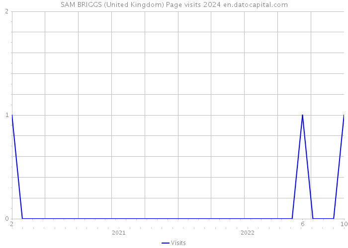 SAM BRIGGS (United Kingdom) Page visits 2024 