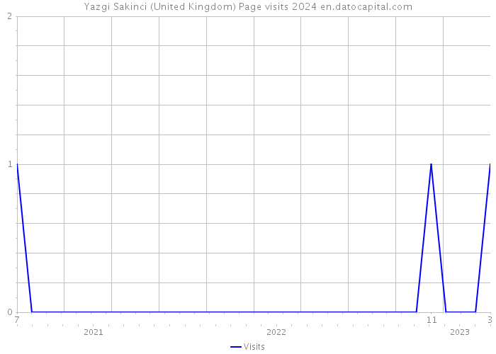 Yazgi Sakinci (United Kingdom) Page visits 2024 
