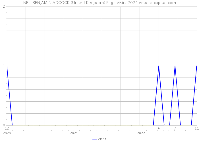 NEIL BENJAMIN ADCOCK (United Kingdom) Page visits 2024 
