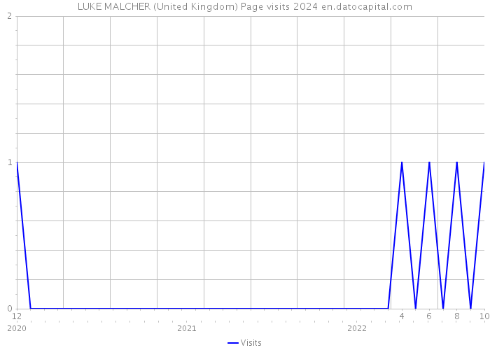 LUKE MALCHER (United Kingdom) Page visits 2024 