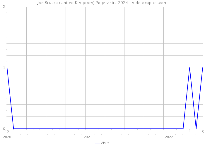 Joe Brusca (United Kingdom) Page visits 2024 