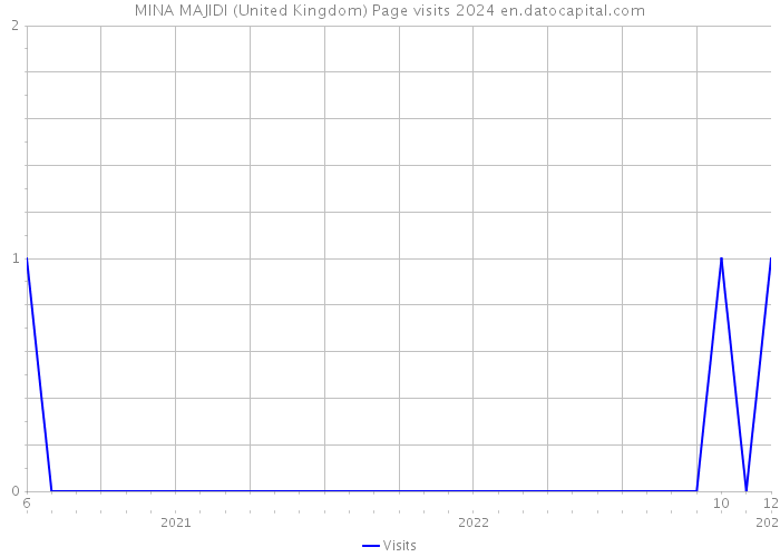 MINA MAJIDI (United Kingdom) Page visits 2024 