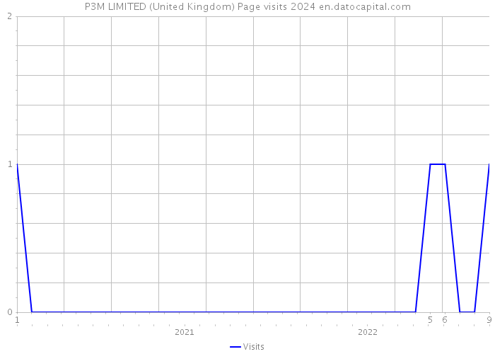 P3M LIMITED (United Kingdom) Page visits 2024 