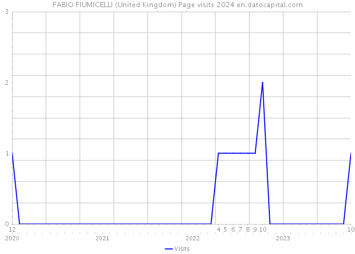 FABIO FIUMICELLI (United Kingdom) Page visits 2024 