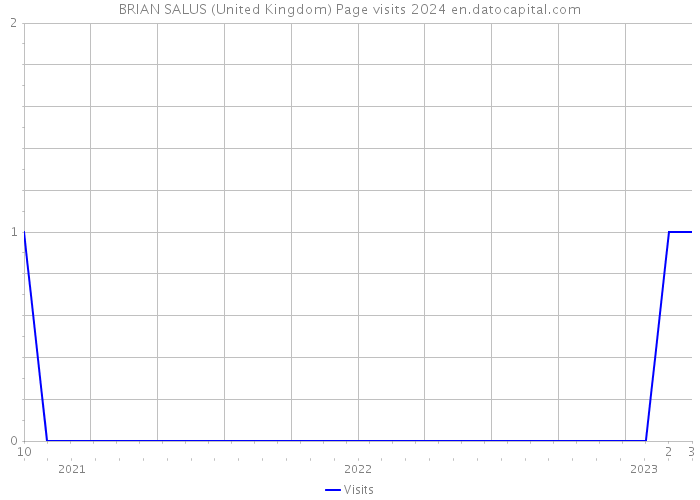 BRIAN SALUS (United Kingdom) Page visits 2024 