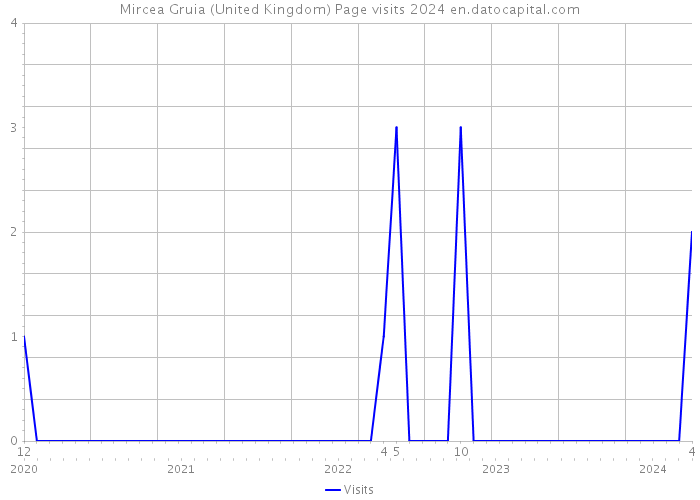Mircea Gruia (United Kingdom) Page visits 2024 
