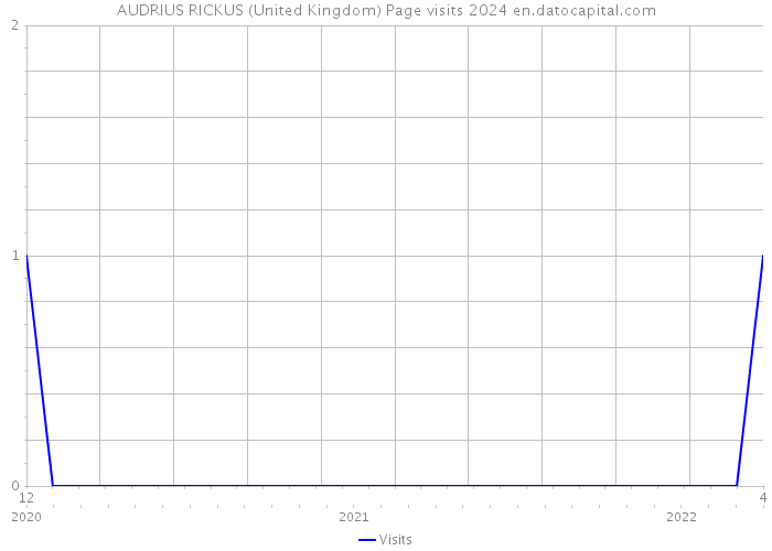 AUDRIUS RICKUS (United Kingdom) Page visits 2024 