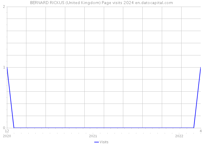 BERNARD RICKUS (United Kingdom) Page visits 2024 