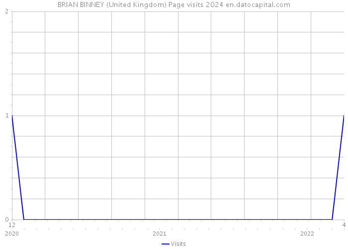 BRIAN BINNEY (United Kingdom) Page visits 2024 