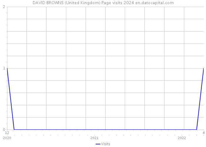 DAVID BROWNS (United Kingdom) Page visits 2024 