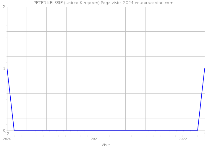 PETER KELSBIE (United Kingdom) Page visits 2024 