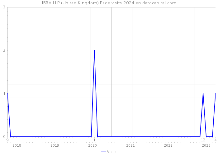 IBRA LLP (United Kingdom) Page visits 2024 