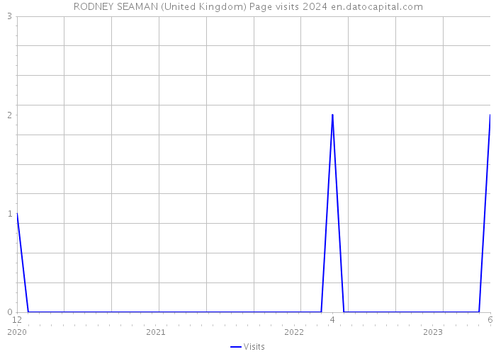 RODNEY SEAMAN (United Kingdom) Page visits 2024 