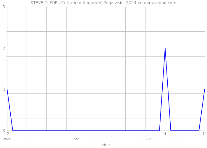 STEVE CLEOBURY (United Kingdom) Page visits 2024 