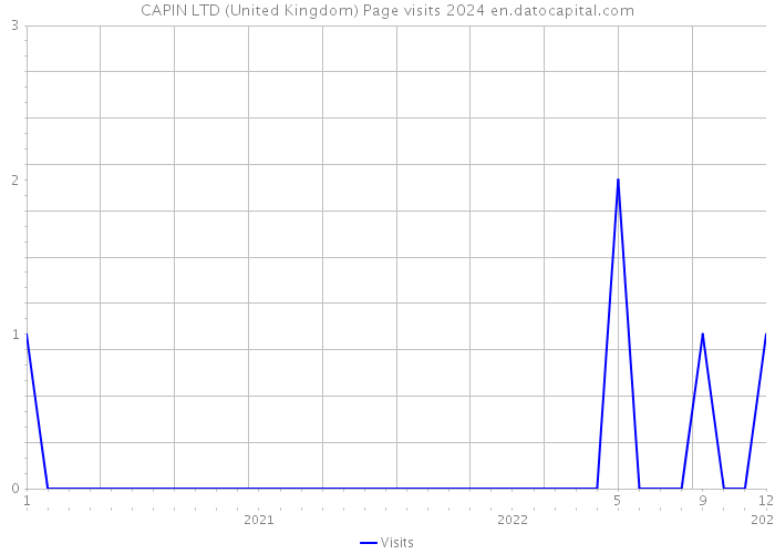 CAPIN LTD (United Kingdom) Page visits 2024 