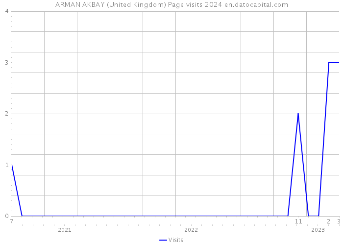 ARMAN AKBAY (United Kingdom) Page visits 2024 