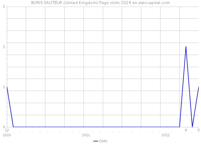 BORIS SAUTEUR (United Kingdom) Page visits 2024 