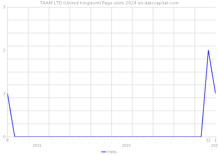 TAAM LTD (United Kingdom) Page visits 2024 