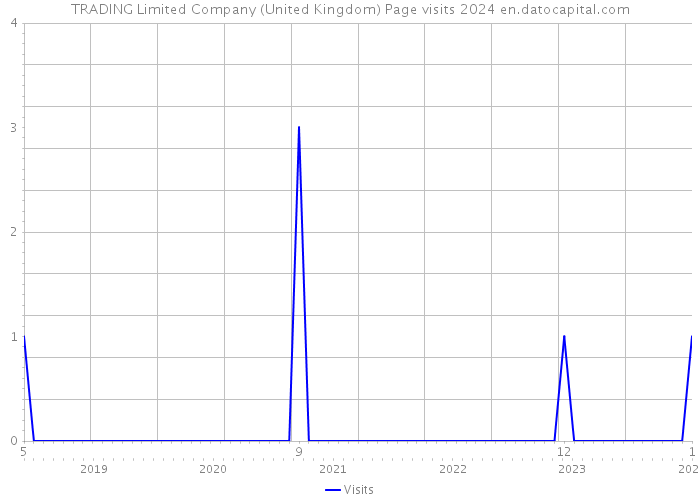 TRADING Limited Company (United Kingdom) Page visits 2024 