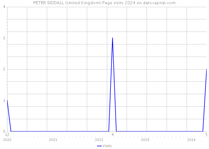 PETER SIDDALL (United Kingdom) Page visits 2024 