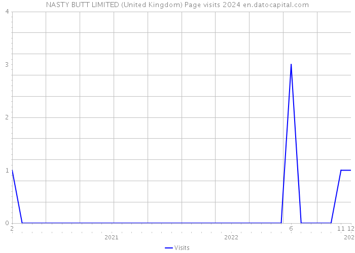 NASTY BUTT LIMITED (United Kingdom) Page visits 2024 