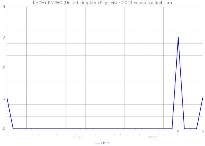 KATHY PACHO (United Kingdom) Page visits 2024 