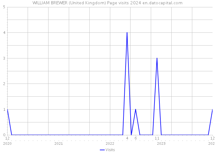 WILLIAM BREWER (United Kingdom) Page visits 2024 
