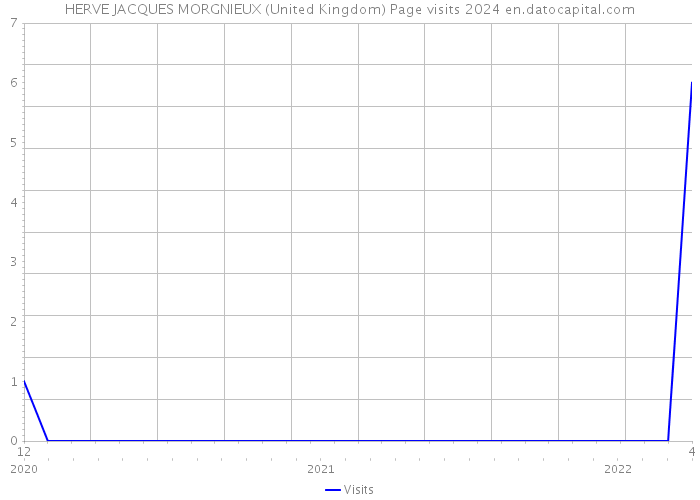 HERVE JACQUES MORGNIEUX (United Kingdom) Page visits 2024 