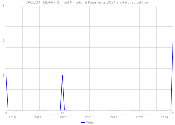 SADEGH HEIDARY (United Kingdom) Page visits 2024 