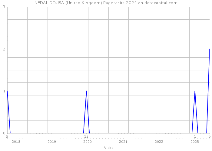 NEDAL DOUBA (United Kingdom) Page visits 2024 