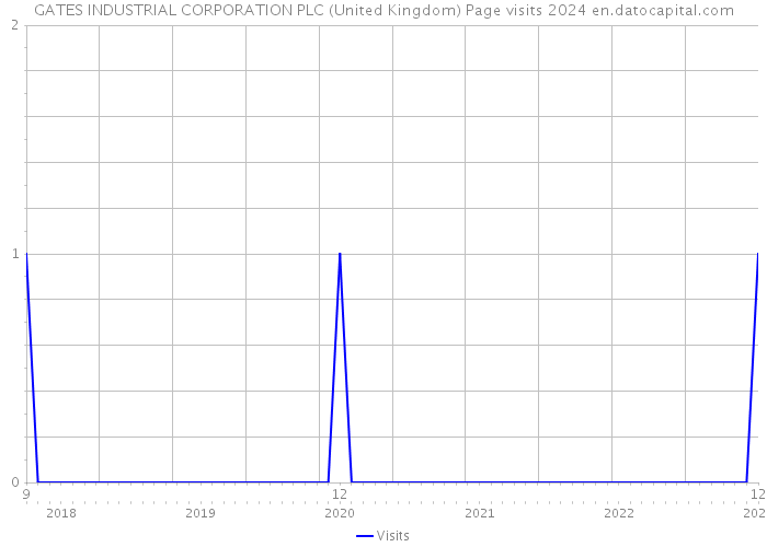 GATES INDUSTRIAL CORPORATION PLC (United Kingdom) Page visits 2024 