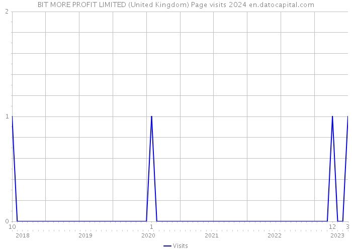 BIT MORE PROFIT LIMITED (United Kingdom) Page visits 2024 