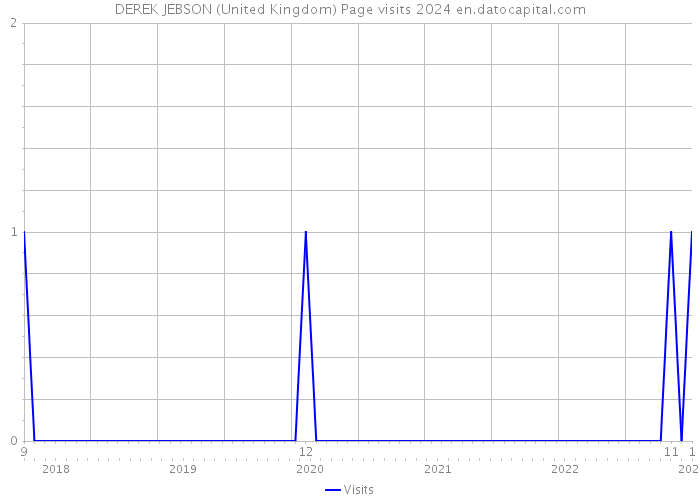 DEREK JEBSON (United Kingdom) Page visits 2024 