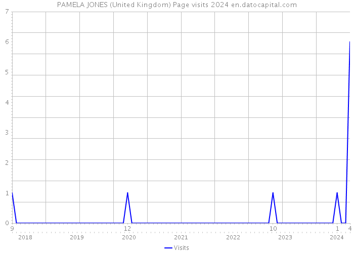 PAMELA JONES (United Kingdom) Page visits 2024 